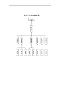 XX公司生产管理体系（DOC 177页）