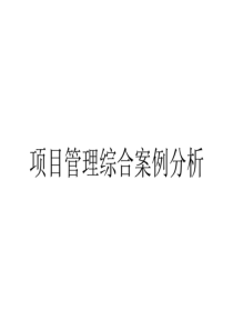 项目管理综合案例分析