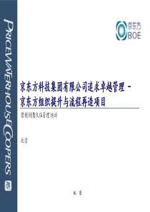 京东方组织提升与流程再造项目-营销／销售队伍管理培训