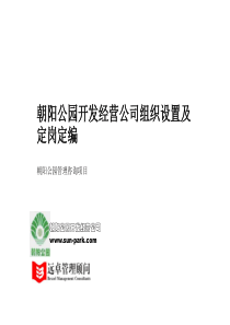 XX开发经营公司组织设置及定岗定编(ppt99页）（远卓管理顾问）