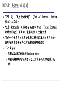 OCAP-失控行动计划