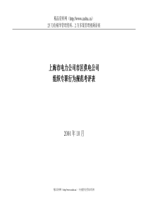 上海市电力公司市区供电公司组织专职行为规范考评表