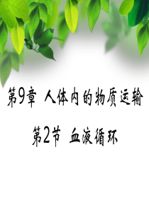 《血液循环》PPT课件