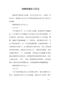 销售助理实习日记