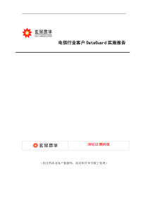 电信行业DataGuard实施报告
