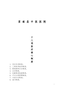 18项医院核心制度（DOC49页）