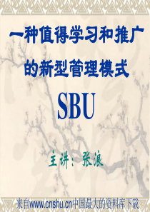 [企业管理]一种值得学习和推广的新型管理模式SBU(ppt 52页)