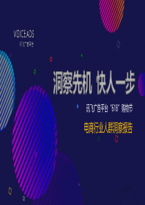 电商行业人群洞察报告（PDF42页）