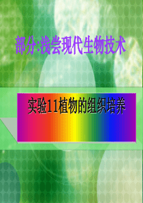 《植物的组织培养》PPT课件