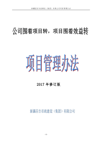 2017版项目管理办法（DOC70页）