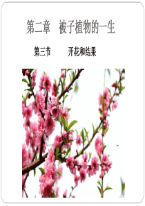 《开花和结果》