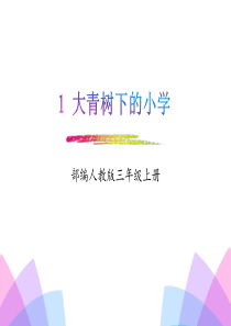 《大青树下的小学》PPT课件