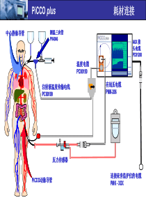 PICCO操作讲解