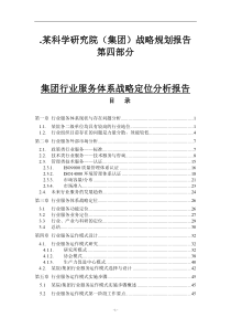 行业服务体系战略报告