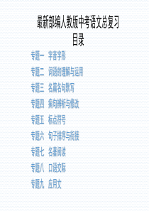 最新部编人教版中考语文总复习专题复习PPT课件(共9个专题-共116页)