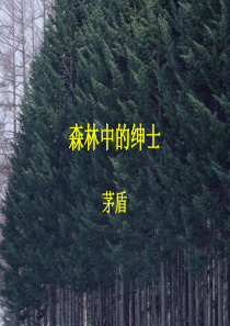 森林中的绅士