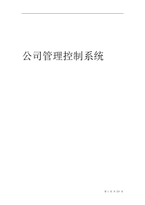 《公司管理控制系统》