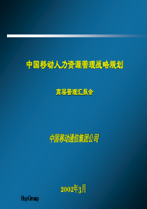 通讯行业人力资源管理战略规划报告