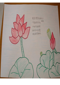 小学诗配画22张