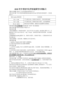 2019年中考初中化学实验探究专项练习