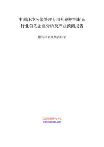 中国环境污染处理专用药剂材料制造行业领先企业分析及产业预测报告