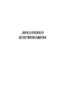 上海市电力公司市区供电公司业扩及客户管理专职行为规范考评表