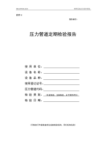 新版压力管道年度检验报告