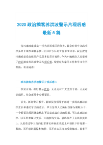 2020政治掮客苏洪波警示片观后感最新5篇