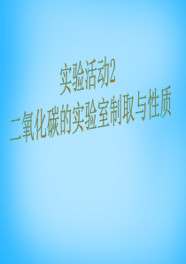 二氧化碳的实验室制取与性质