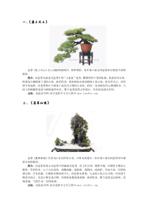 盆景欣赏与浅析