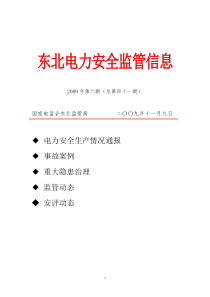 东北电力安全监管信息第41期doc-东北电力监管信息