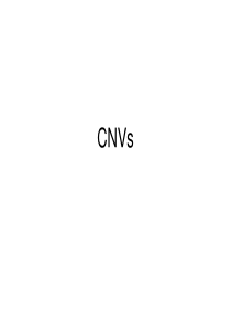 拷贝数变异(CNV)