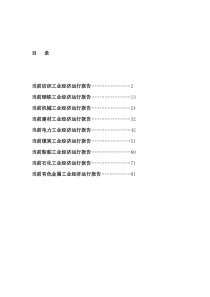 九大行业产业形势分析报告（DOC 91页）