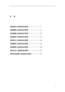 九大行业产业形势分析报告（DOC 92页）