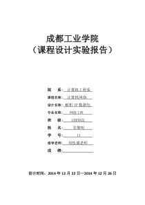 解析IP数据包实验报告要点