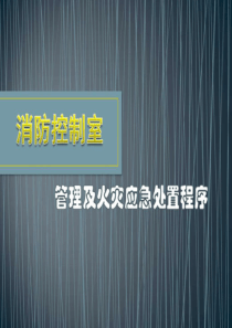 消控室中控室消防业务指导培训