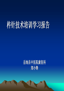 杵针学习报告PPT