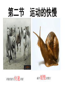 北师大版八年级物理第三章第二节探究-比较物体运动的快慢