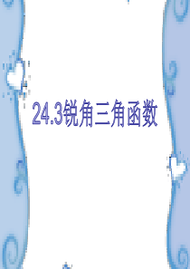 华师大版 九年级上册(新)24.3 锐角三角函数教学课件(共28张PPT)