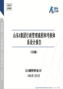 集团公司管理流程和考核体系设计报告(山东)