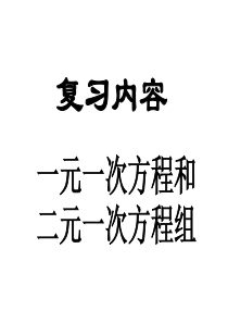 中考复习讲座2一元一次方程二元一次方程组