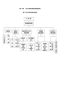 d大型IT企业组织管理制度