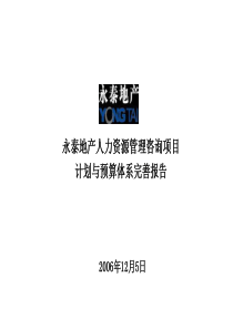 永泰地产人力资源管理咨询项目-计划与预算体系