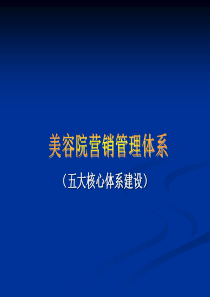 美容院最新营销管理系统