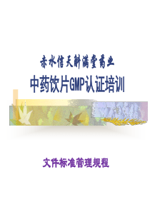 GMP文件标准管理规程培训(1)