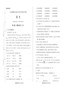 2017年山东省潍坊市中考语文试卷