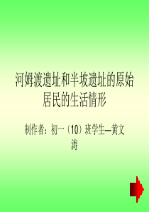 河姆渡遗址和半坡遗址的原始居民的生活情形