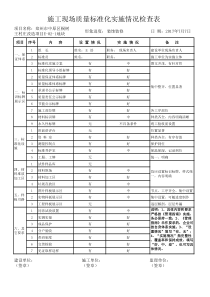 标准化实施情况检查表