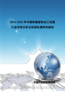 处理行业市场分析及投资机遇研究报告