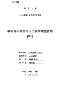 中铝贵州分公司人力资本增值管理探讨